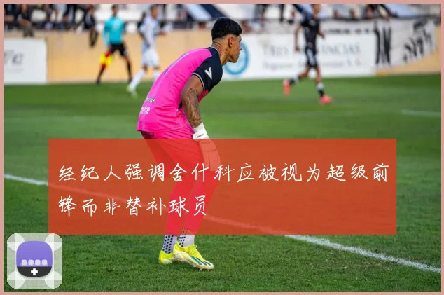 经纪人强调舍什科应被视为超级前锋而非替补球员