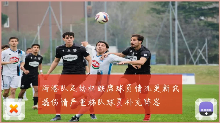 海港队足协杯缺席球员情况更新武磊伤情严重梯队球员补充阵容