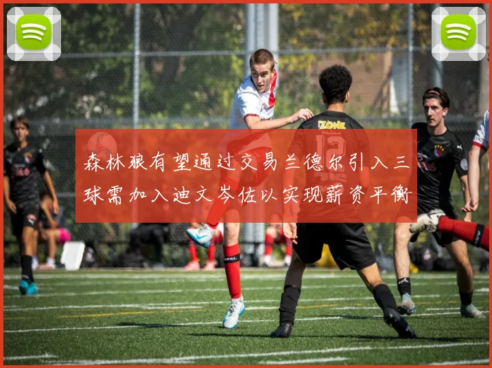 森林狼有望通过交易兰德尔引入三球需加入迪文岑佐以实现薪资平衡